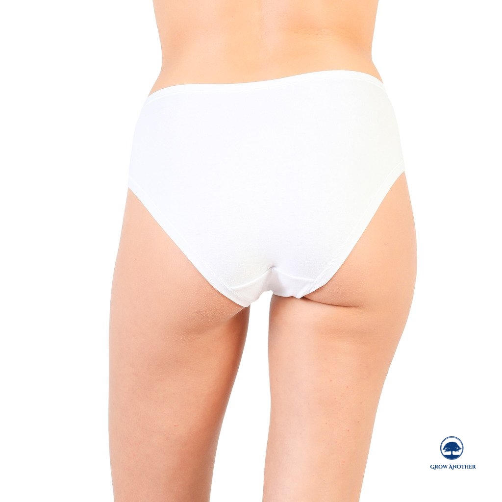 Pierre Cardin underwear - PC_2PAPAIA_2pack_A - Image 2
